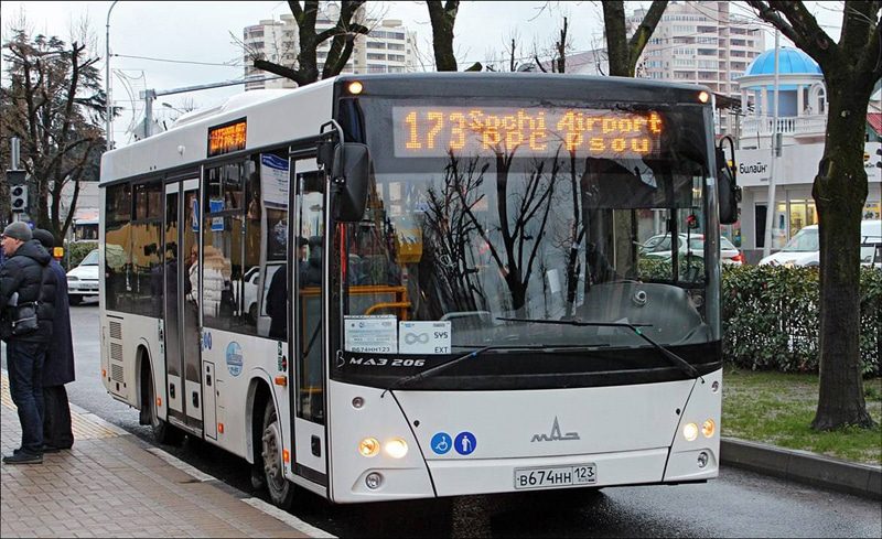 автобус 173