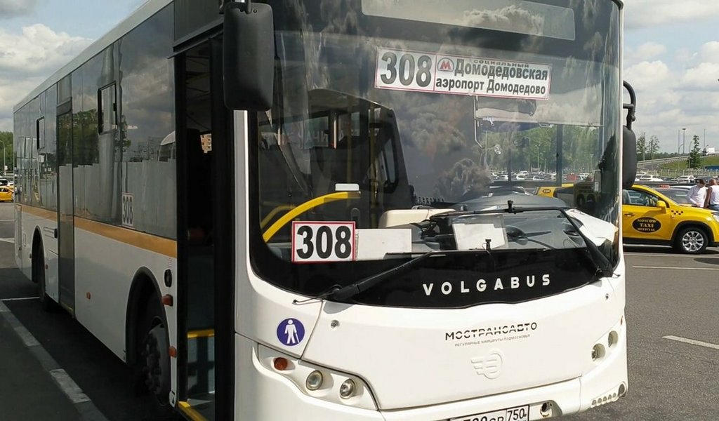 Маршрутное такси и автобус 308 в аэропорт Домодедово