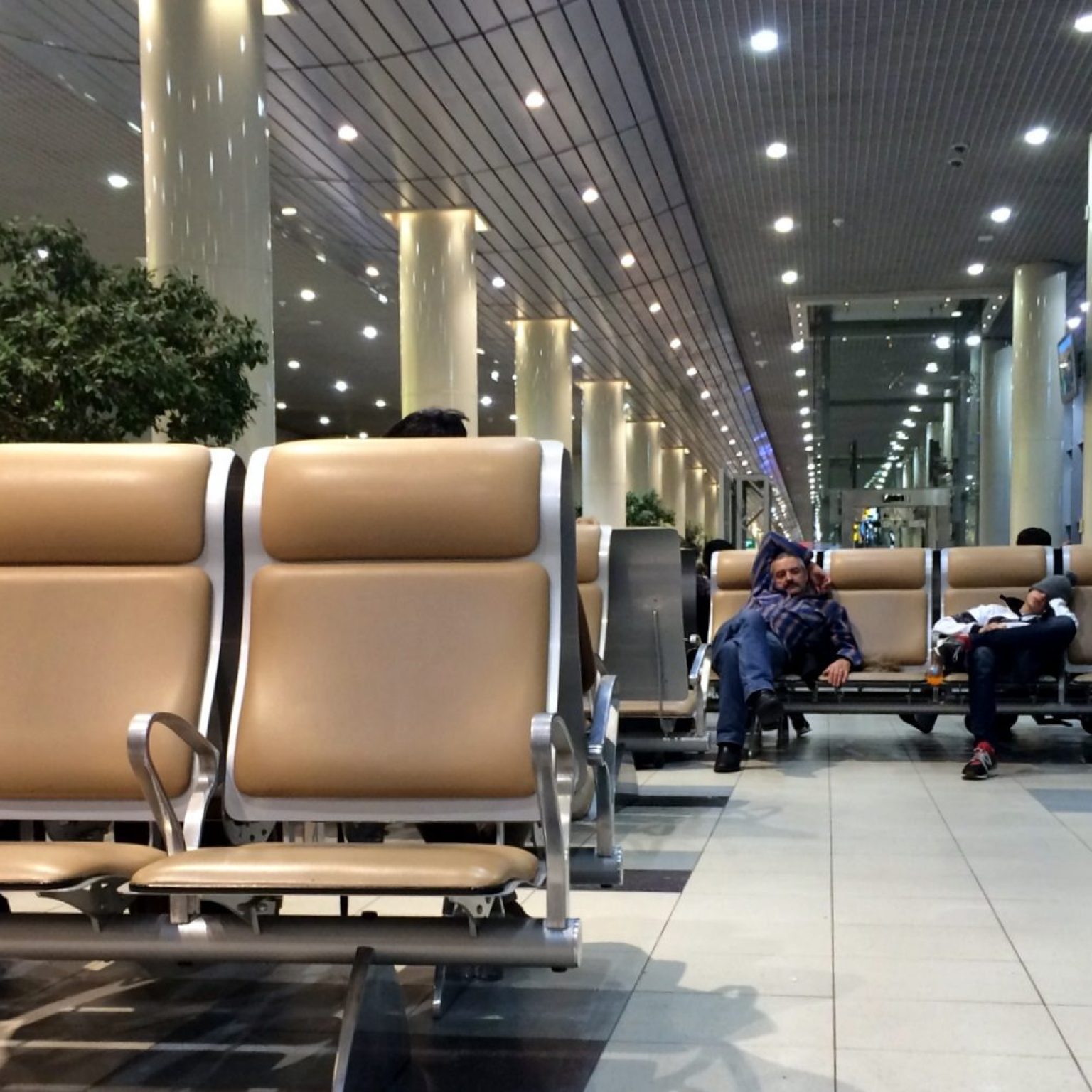 Где отдохнуть в аэропорту Домодедово: комната отдыха, комната матери и ребенка и другие зоны отдыха