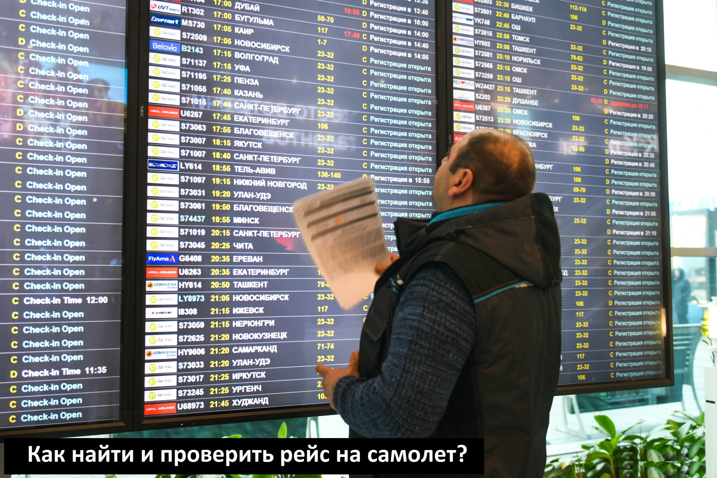 Как найти и проверить рейс на самолет по номеру: статус вылета и прибытия