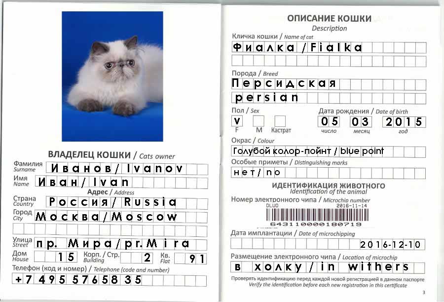 Международный ветеринарный паспорт для кота.